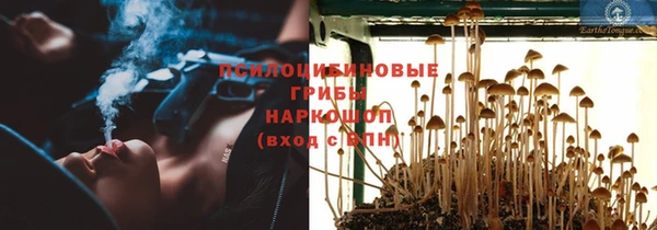 спиды Бугульма