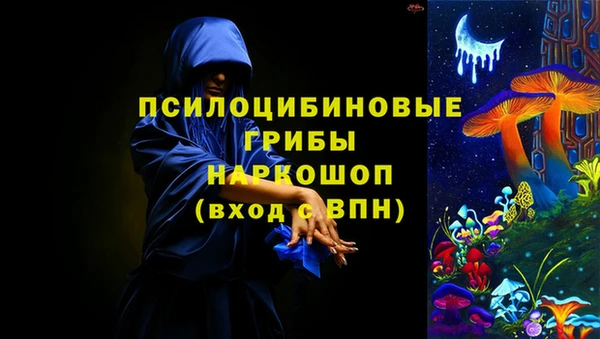 прущая мука Бородино